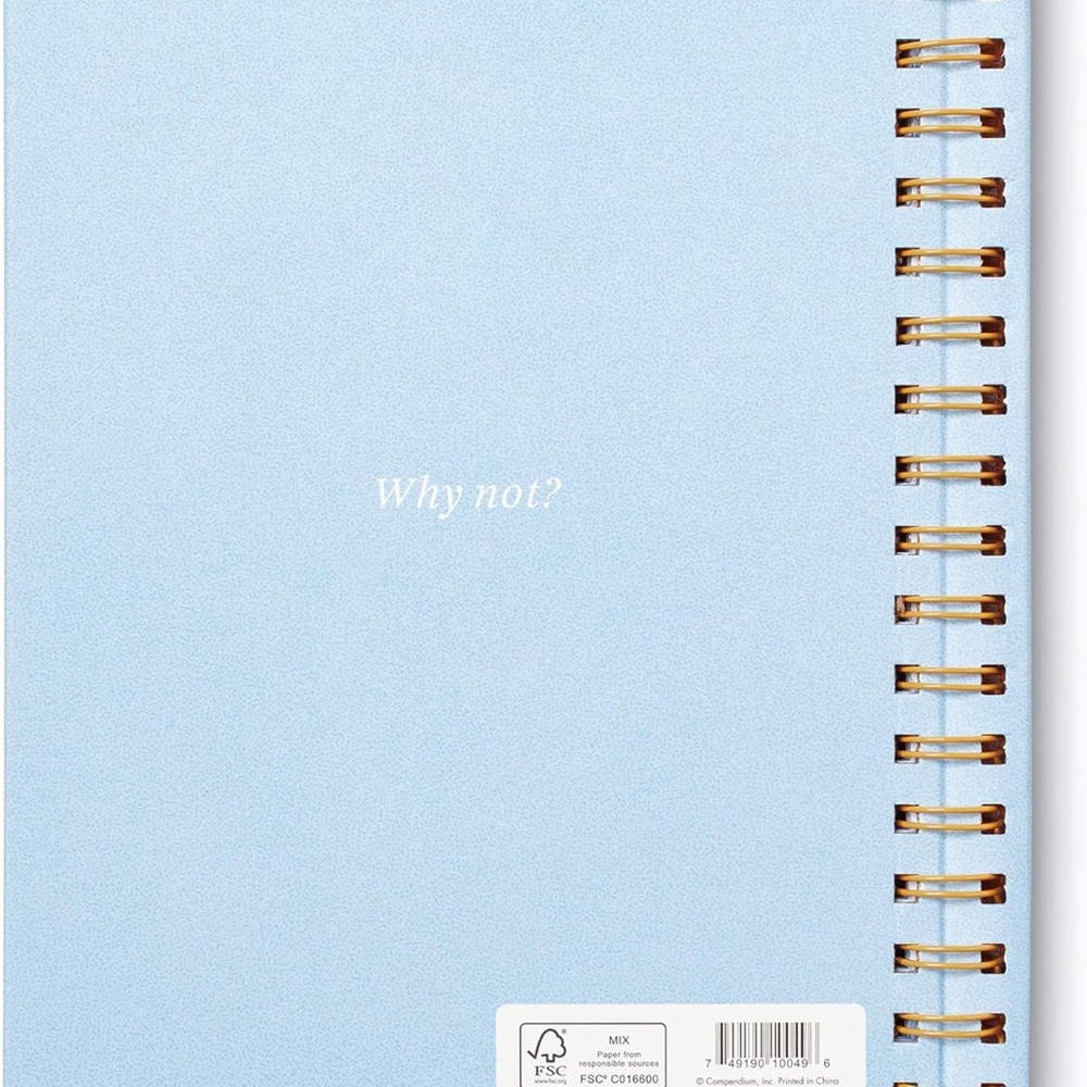 “What If” Goal Setting Notebook - Picture 6 of 7
